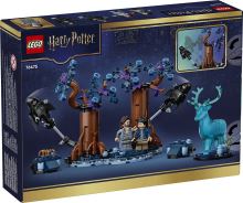 LEGO® Harry Potter™ Pădurea Interzisă: Expecto Patronum 76475 (1)