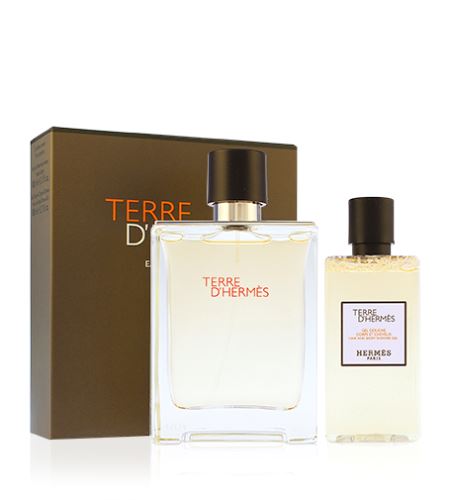 Hermes Terre D´Hermes set cadou pentru bărbati apă de toaletă 100 ml + gel de dus 80 ml