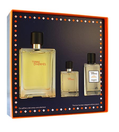 Hermes Terre d'Hermes set cadou pentru bărbati apă de toaletă 100 ml + apă de toaletă 12,5 ml + după bărbierit 40 ml