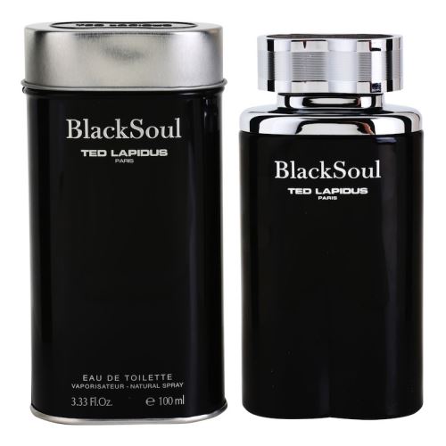 Ted Lapidus Black Soul apă de toaletă pentru bărbati 100 ml