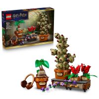 Set LEGO® Harry Potter™ Plante pentru ora de ierbologie de la Hogwarts™ 76474