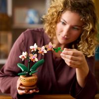 LEGO® Botanicals 10343 Mini orhidee (1)