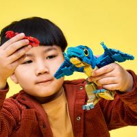 LEGO® Jurassic World Pui de dinozaur: Pteranodon (4)