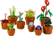 LEGO® Botanicals 10329 Plante de mici dimensiuni (2)