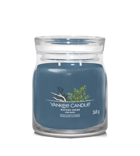 Yankee Candle Bayside Cedar lumânare mijlocie Signature 368 g