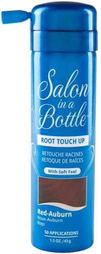 Salon in a Bottle spray corector pentru păr 43 g