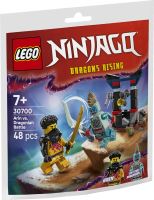 LEGO® 30700 Bătălia dintre Arin și Dragonian (2)