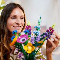 LEGO® Botanicals 10313 Buchet de flori de câmp (2)